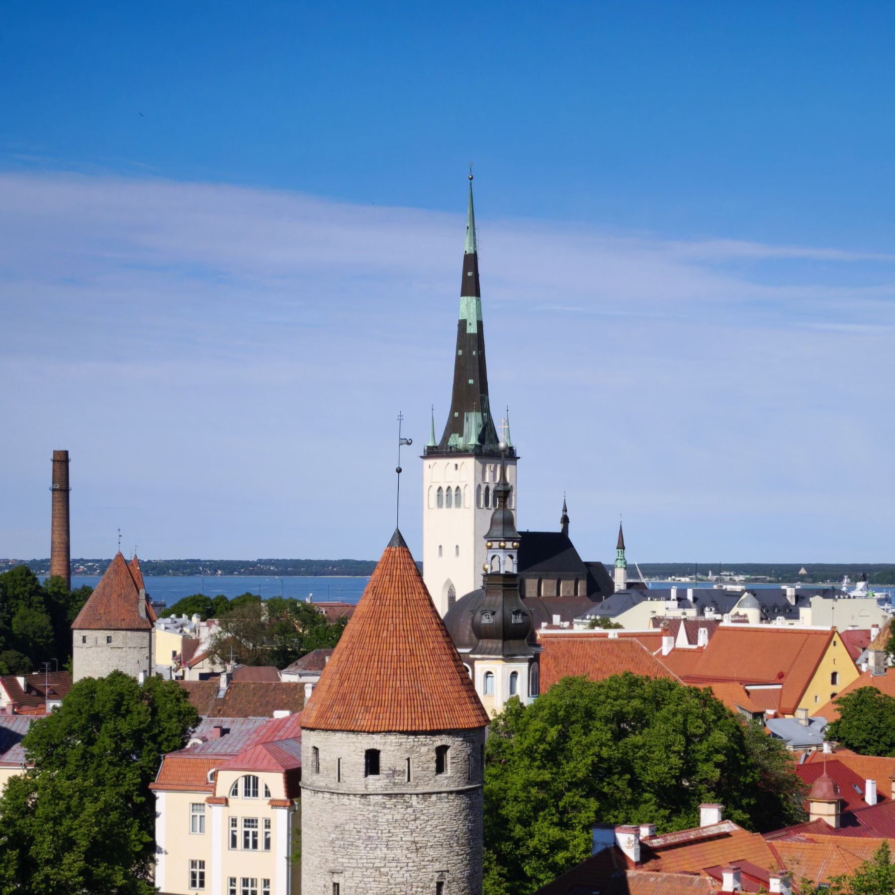 Panorama Starego Miasta w Tallinnie